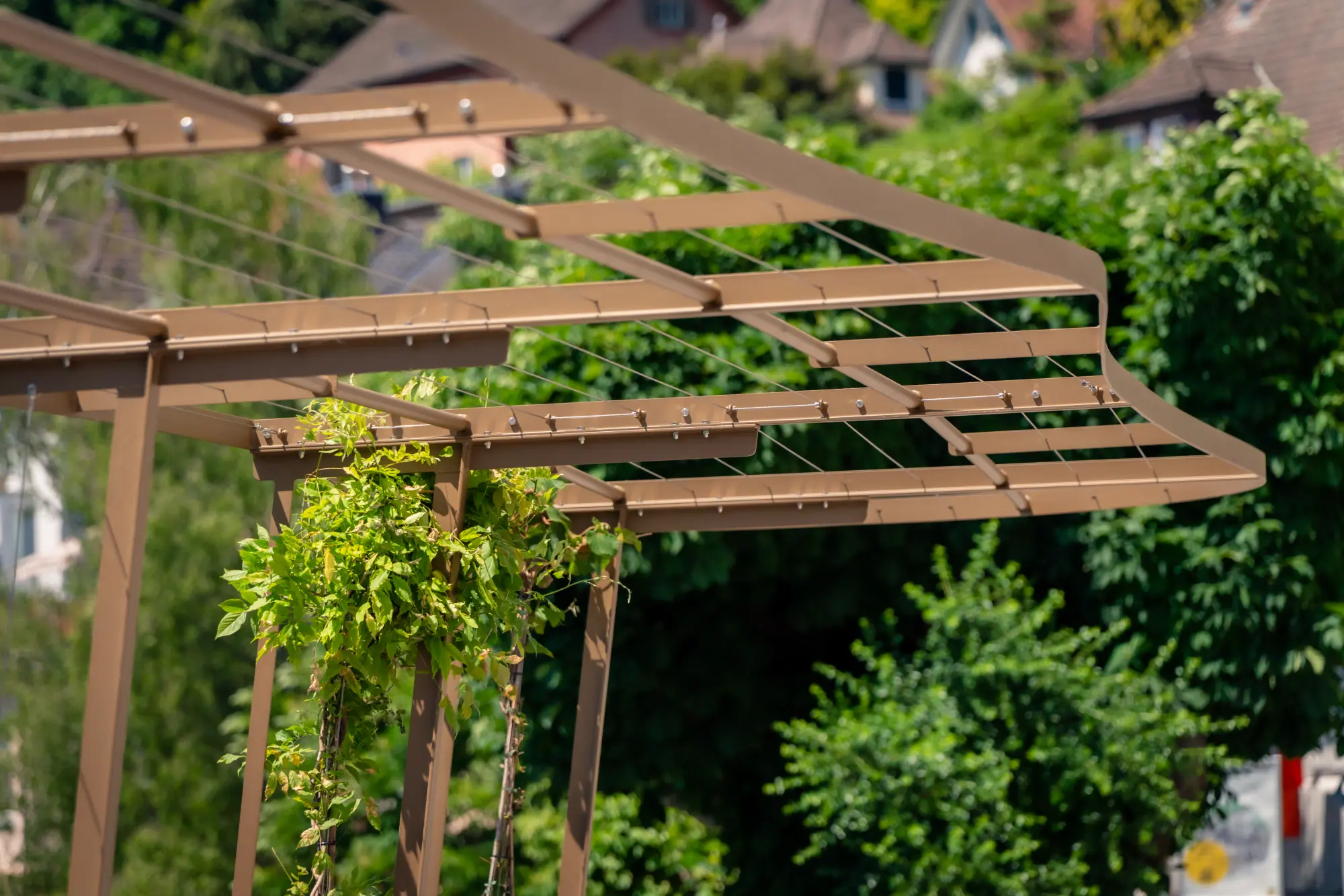 Detailansicht der geschwungenen Metallpergola mit Rankhilfen an der Limmatpromenade Ennetbaden, beginnende Bepflanzung mit Kletterpflanzen.